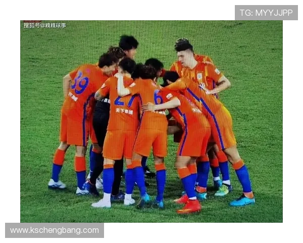 南京排球队战术之争引发热议球迷与专家各抒己见